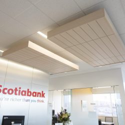 Equinox-86A4450-593af926d8465-2000x1183-5b295fb0311ce-250x250-1