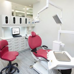 ScreenShot2016-11-15at10-32-55AM-5bbe231886f14-250x250-1