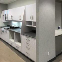 WhatsApp-Image-2020-03-31-at-10-11-57-AMweb-5f9c53c747a2c-250x250-1